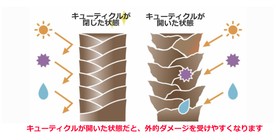 【現役美容師が暴露】髪をさらさらにする3つの方法