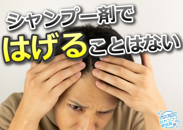 はげる要因【シャンプー関係ない?】