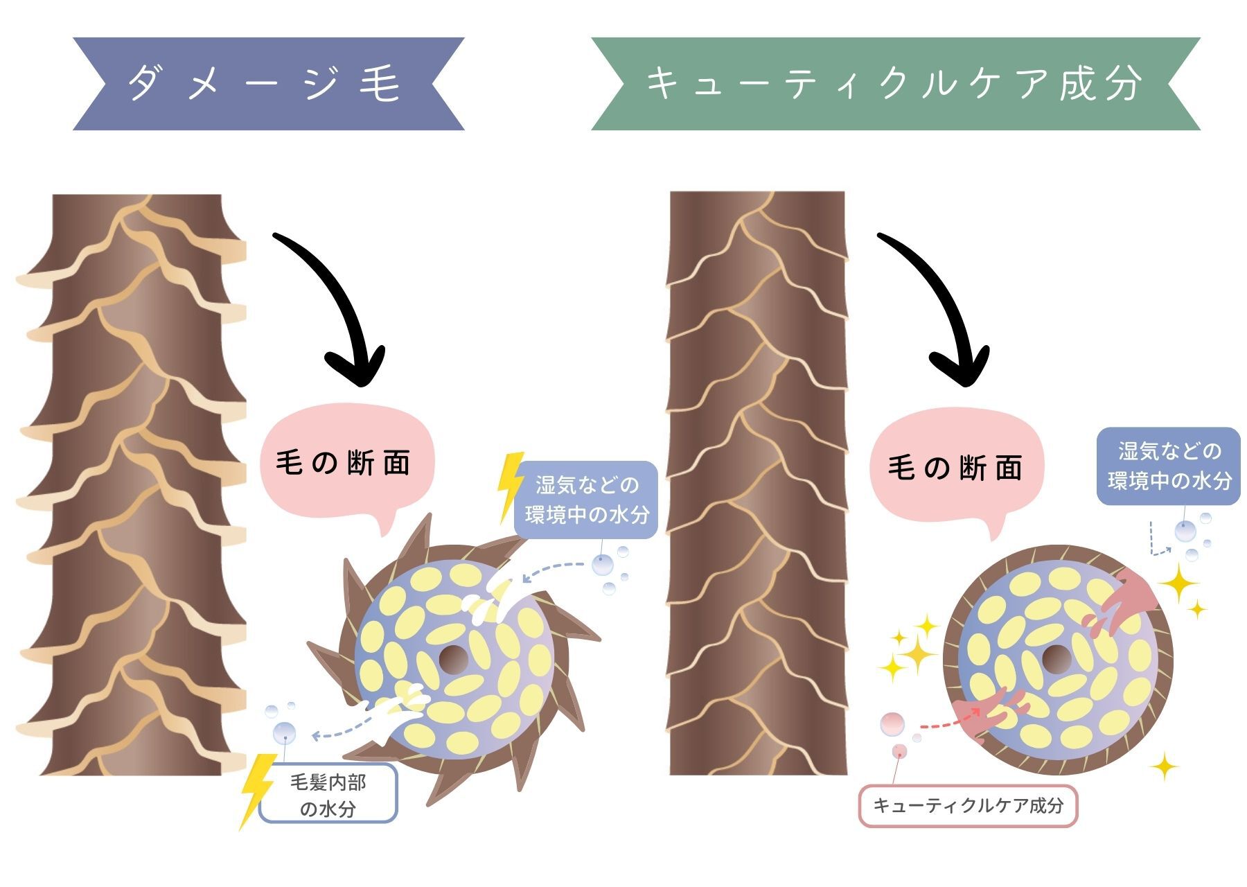 キューティクルケア