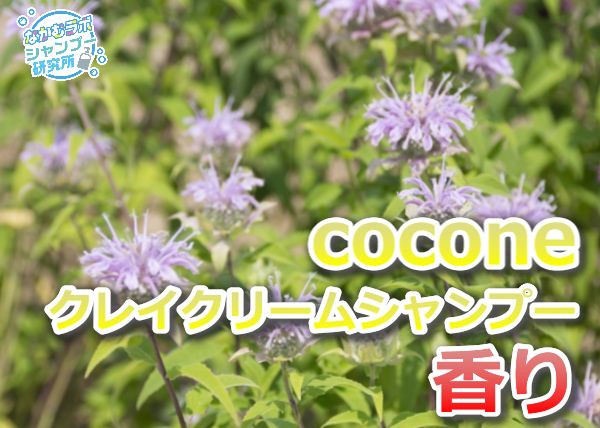 coconeクレイクリームシャンプー香り