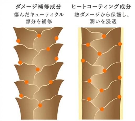 沖縄産ボタニカルトリートメントの効果②