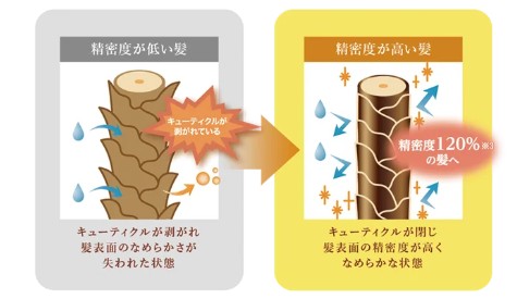 アンドハニー ピクシーの効果②