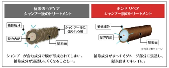 ロレアル パリ ポンド リペアシャンプーの効果