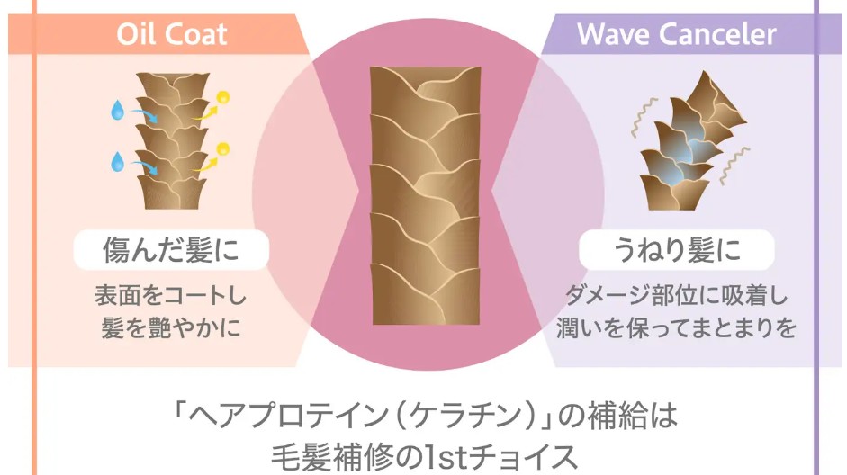 YUTORIUMスパークリングシャンプーの効果②