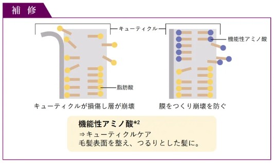 ヒュウケアナリシングシャンプーの効果と感想②