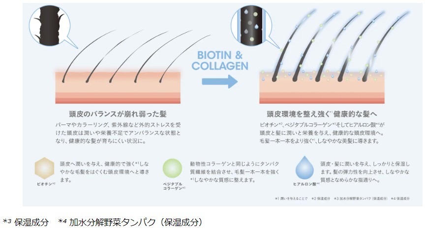 B&Cシャンプーの効果