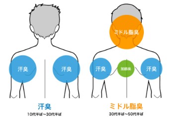 薬用スカルプデオシャンプー ハーバルシトラスの効果